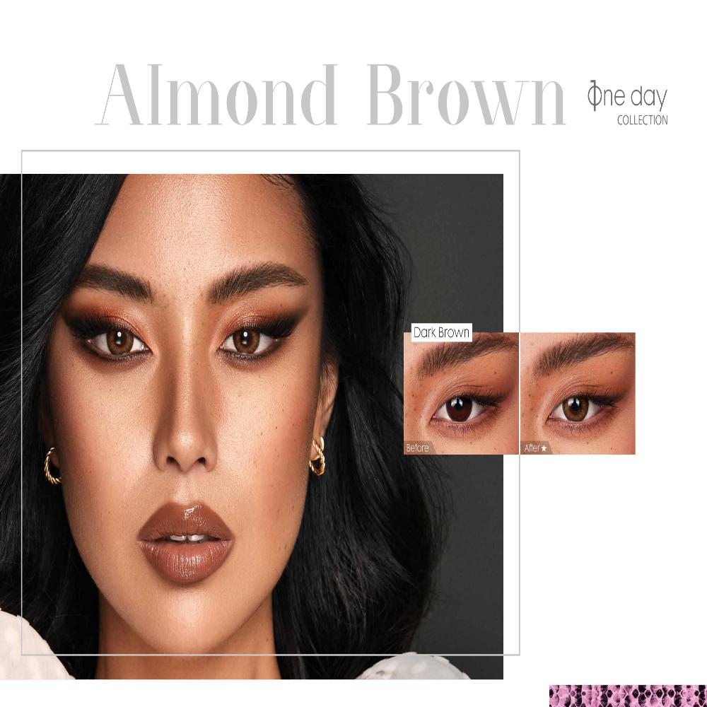 Bella Dailies Power- Almond Brown | 10 Lenses per Box | Daily Disposable