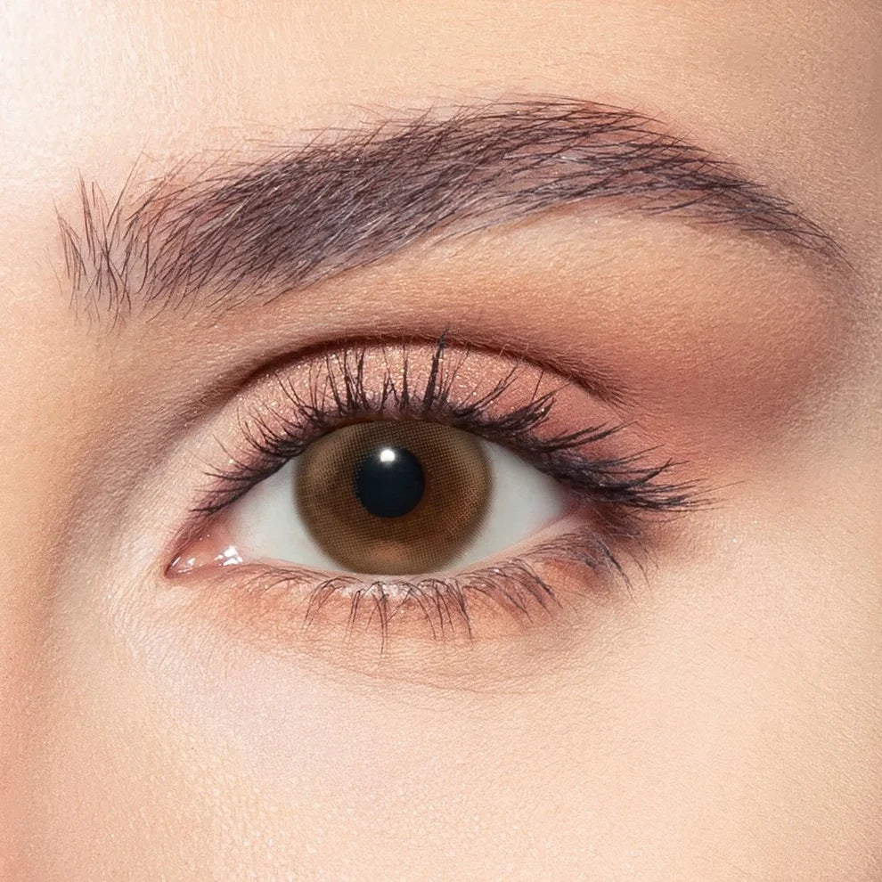 Bella One Day Color Contact Lenses – Siren Bronze| 10 Lenses per Box | Daily Disposable